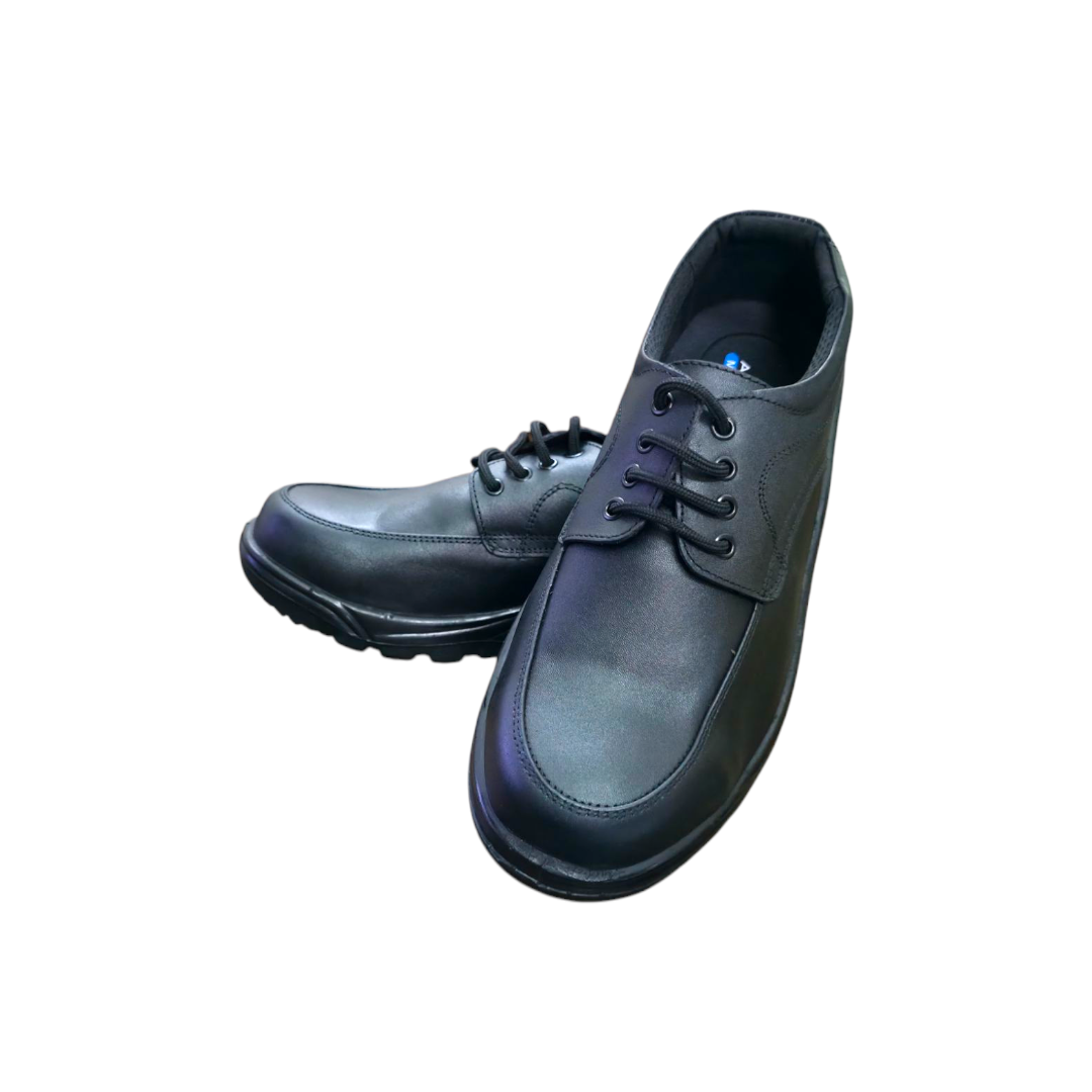 MSI 210 Burly Safety Shoes
